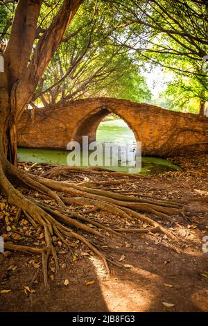 Ponte PA Diso tra Wat Boromphuttharam e Wat Singharam ad Ayutthaya, Thailandia Foto Stock