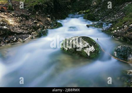 Particolare di primavera nei monti Apuseni, Romania, acque fluffy sul torrente di montagna a causa della lunga esposizione Foto Stock
