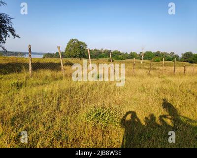 Ombra di turisti in un safari in una foresta tropicale in un parco nazionale in India Foto Stock