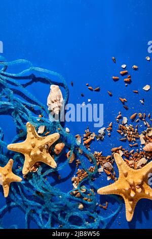 Fondo piatto con stelle marine, conchiglie sull'acqua blu con luce solare, concetto di vacanza estiva, vista dall'alto Foto Stock