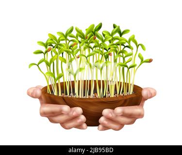 Nutrizione sana Microgreens concetto con i simboli biologici degli alimenti illustrazione vettoriale realistica Illustrazione Vettoriale