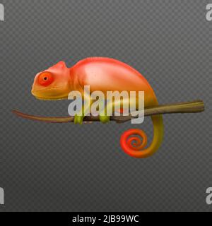 Arancione verde chameleon lucertola seduta sul primo piano ramo isolato immagine realistica scuro trasparente sfondo vettoriale illustrazione Illustrazione Vettoriale