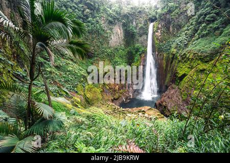 Catarata del Toro, cascata selvaggia in Costa Rica Foto Stock