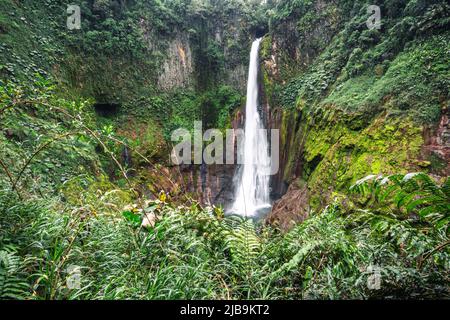 Catarata del Toro, cascata selvaggia in Costa Rica Foto Stock