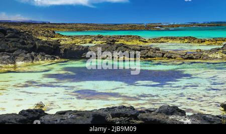 El Cotillo - Faro del Toston: Bella spiaggia, piscine naturali tra rocce vulcaniche nere e turchesi orizzonte oceano nord Fuerteventura contro clea Foto Stock