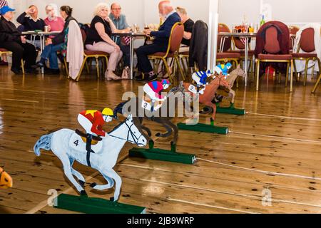 Jubilee Racing Night nella Sala pubblica di Budleigh. I cavalli. Foto Stock