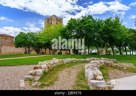 Bellissimo parco di piante di legno duro di fronte alla cattedrale medievale di Zamora Spagna. Foto Stock