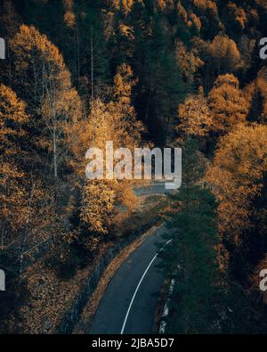 Strada fa una svolta in autunno foresta drone vista Foto Stock