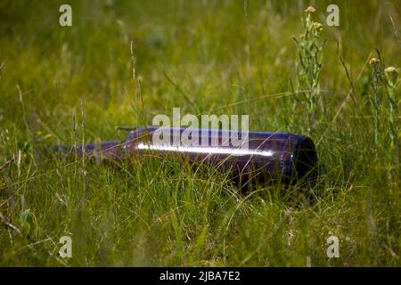 Una bottiglia di birra gettata sull'erba. Spazzatura a terra. Foto Stock