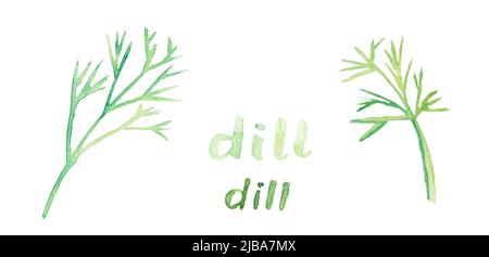 Aneto. Un mazzo di acquerelli di erbe fresche biologiche da giardino. Foglia verde crescente da terra. Illustrazione di un set di diverse spezie da cucina. Banner pianta da cucina disegno a mano Foto Stock