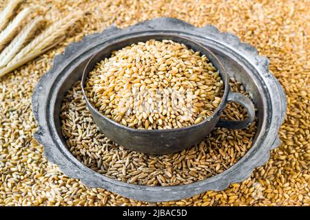 Grani di grano naturale, maturi nella ciotola di metallo d'annata su sfondo di grani con le orecchie di grano Foto Stock