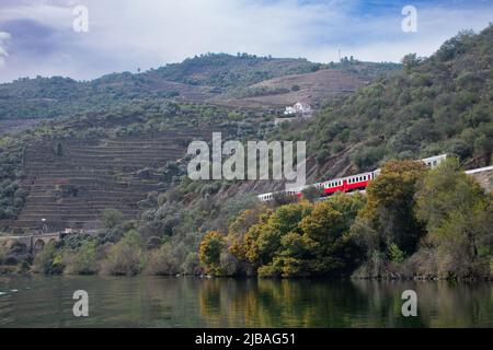 Giro panoramico in treno attraverso il paese del vino Douro Valley Foto Stock