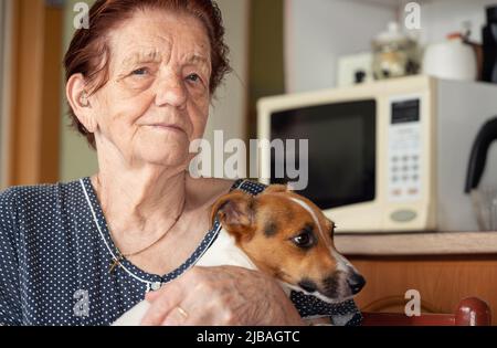 Donna anziana in posa con il suo cane terrier Jack Russell in cucina, concentrarsi sul volto della persona Foto Stock