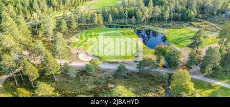 Vista panoramica aerea sul campo da golf nella foresta settentrionale. Le persone non identificate giocano a piedi per cambiare campo da golf, alberi di pino intorno. Caldo giorno di sole eccelle Foto Stock