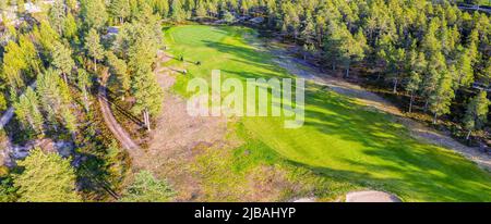 Vista prospettica aerea sul campo da golf nella foresta settentrionale. Le persone non identificate giocano a piedi per cambiare campo da golf, alberi di pino intorno. Giornata di sole caldo Foto Stock