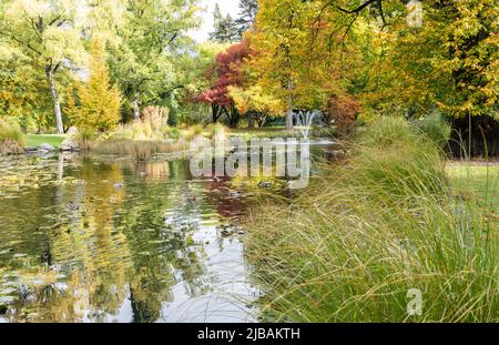 Laghetto e fontana circondati da lussureggiante vegetazione autunnale in Queenstown Gardens, Nuova Zelanda. Foto Stock