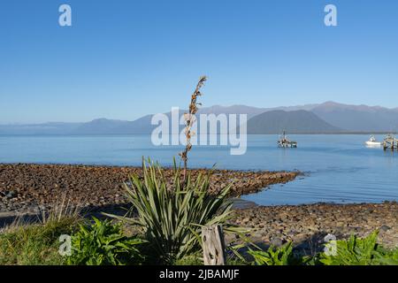 Vista su Jackson Bay fino alle colline circostanti con barche nella baia. Foto Stock