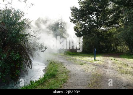 Un fiume termale fumante vicino a Taupo, Nuova Zelanda Foto Stock