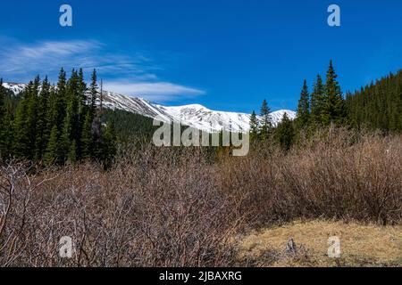 La neve copre le vette più alte sopra Georgetown Colorado Foto Stock