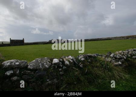 Ruined Farmhouse, Bosullow Common, Madron, Cornovaglia, Inghilterra, REGNO UNITO Foto Stock