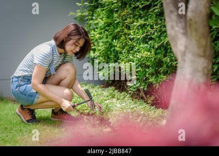 Una donna asiatica giardiniere è pala e lavoro nel suo giardino. Foto Stock