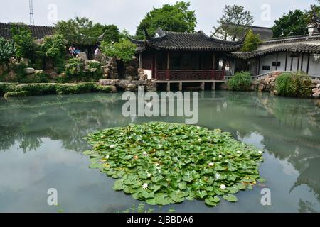 Esplorare i giardini di Suzhou Foto Stock