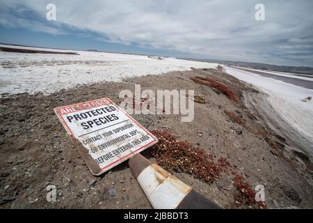 Un segno caduto che avverte di specie protette e in pericolo nella zona vicino ad un laghetto di sale Foto Stock