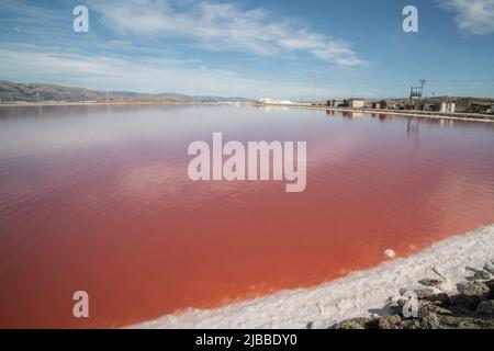 L'acqua negli stagni salati assume una tonalità rosa dovuta a Dunaliella salina Foto Stock