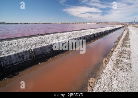 L'acqua negli stagni salati assume una tonalità rosa dovuta a Dunaliella salina Foto Stock