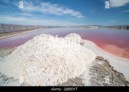 Dunaliella salina, un microrganismo trasforma l'acqua di un laghetto di sale di rosa nel bellissimo paesaggio. Foto Stock