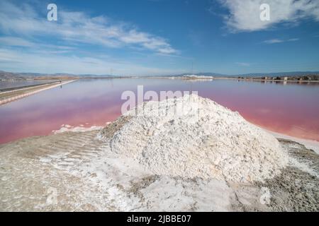 Dunaliella salina, un microrganismo trasforma l'acqua di un laghetto di sale di rosa nel bellissimo paesaggio. Foto Stock