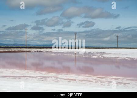 L'acqua in stagni di sale assume una tonalità rosa a causa di Dunaliella un microrganismo che crea un bellissimo paesaggio insolito. Foto Stock