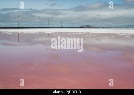 L'acqua in stagni di sale assume una tonalità rosa a causa di Dunaliella un microrganismo che crea un bellissimo paesaggio insolito. Foto Stock