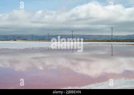 L'acqua in stagni di sale assume una tonalità rosa a causa di Dunaliella un microrganismo che crea un bellissimo paesaggio insolito. Foto Stock