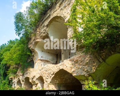 Fortezza abbandonata fuori, rovinata cittadella boscosa Tarakaniv, Ucraina Foto Stock