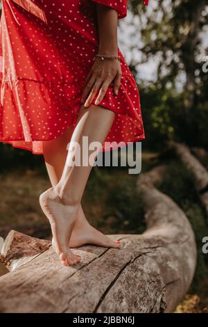 Gambe di giovane donna in piedi sul trave di legno selvaggio asciutto di albero caduto. Donna che posa su una macchina fotografica e mostra le sue gambe e le gambe toccanti da ha Foto Stock