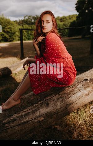 Bella giovane donna adulta in un abito rosso con puntini bianchi con capelli rossi seduti su un albero asciutto caduto e posando su una macchina fotografica. Modella femminile che la tocca Foto Stock