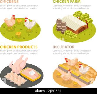 Fattoria di pollo isometrica 4x1 insieme di composizioni circolari con prodotti avicoli scene fattoria con testo modificabile illustrazione vettoriale Illustrazione Vettoriale