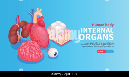 Poster degli organi interni con illustrazione isometrica del vettore cardiaco, oculare e renale Illustrazione Vettoriale