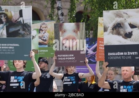 Lubiana, Slovenia. 05th giugno 2022. I manifestanti portano cartelloni durante un raduno della giornata nazionale dei diritti degli animali. I raduni nazionali dei diritti degli animali hanno avuto luogo in diverse città del mondo lo stesso giorno. Credit: SOPA Images Limited/Alamy Live News Foto Stock