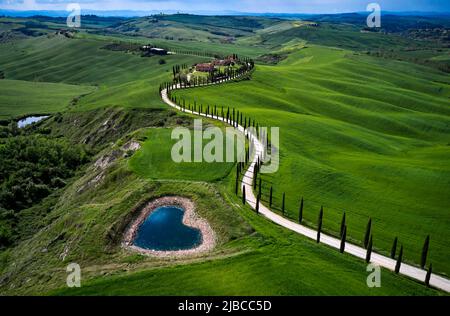 Tradizionale vicolo toscano con cipressi che conduce alla fattoria Foto Stock