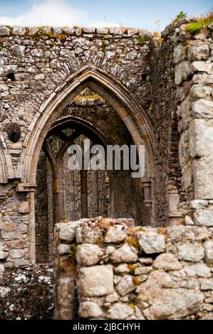 Archi gotici e trachery a Castledermot Abbey rovinato il frate francescano a Casteldermot, in Irlanda. Foto Stock