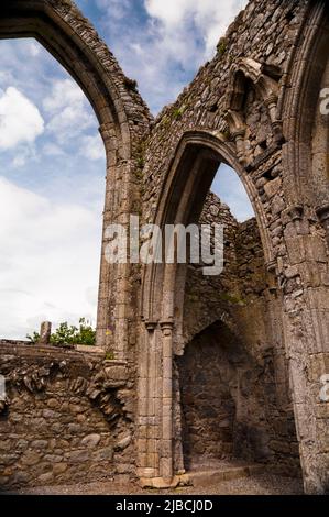 Archi gotici a punta presso l'abbazia di Castledermot rovinarono il convento francescano a Casteldermot, in Irlanda. Foto Stock