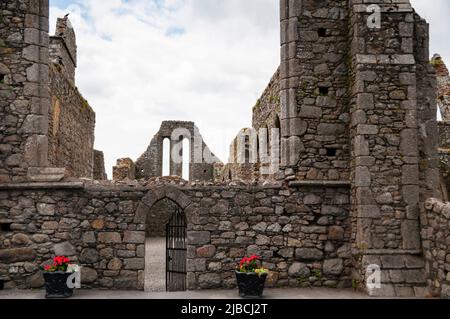 Castledermot Abbey è un frate francescano in rovina a Casteldermot, in Irlanda. Foto Stock