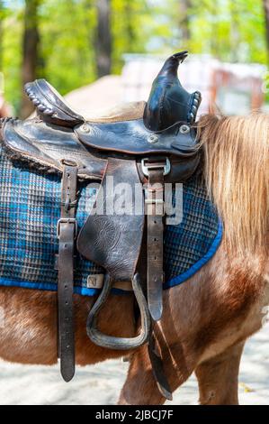 Sella con staffe sul dorso di un cavallo Foto Stock