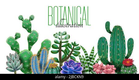 Composizione Cactus con testo ornato modificabile e immagini di piante di cactus di specie diverse e illustrazione vettoriale di forma Illustrazione Vettoriale