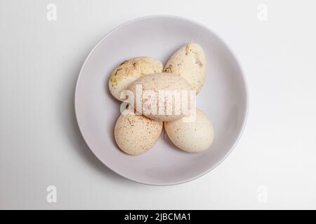 Uova fresche di tacchino su sfondo bianco uova grandi macchiate (gusci d'uovo) Foto Stock