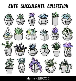 Set di succulenti cactus houseplants in vasi di fiori grigi. Icone vettoriali su sfondo bianco Illustrazione Vettoriale