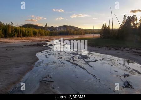 Ora d'oro al tramonto nella zona di Norris Geyser Basin, parco nazionale di Yellowstone, Wyoming, USA. Paesaggio vulcanico con attività geotermica. Foto Stock