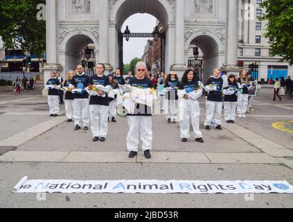 Londra, Regno Unito. 5th giugno 2022. Gli attivisti per i diritti degli animali si sono riuniti a Marble Arch per osservare la Giornata nazionale dei diritti degli animali, che commemora i miliardi di animali che vengono sfruttati, abusati e uccisi dagli esseri umani ogni anno, e mira ad educare il pubblico circa gli orrori che gli animali passano attraverso e ad evidenziare le alternative a base vegetale e crudeltà. Alcuni attivisti detenevano animali reali, tra cui uccelli, scoiattoli, riccio, ratti e volpi, che è morto per cause naturali. Credit: Vuk Valcic/Alamy Live News Foto Stock